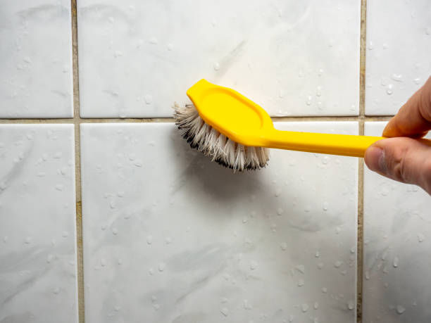 Office Mold Removal Services in South River, NM