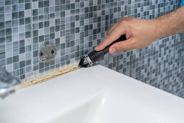 Best Professional Mold Removal  in South River, NM